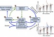 AI & Machine Learning in Military Material Discovery and Fabrication: Accelerating Innovation for Strategic Superiority