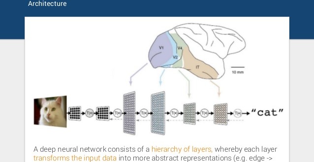 Deep Learning Neural Networks: The Foundation of Advanced Object Recognition, Face Detection, Fraud Detection, and Autonomous Military Systems