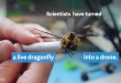 The Cyborg Revolution: How Insect Robotics Are Redefining Surveillance, Agriculture, and Medicine