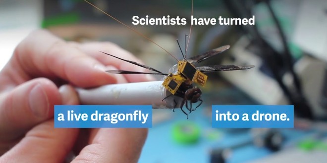 The Cyborg Revolution: How Insect Robotics Are Redefining Surveillance, Agriculture, and Medicine