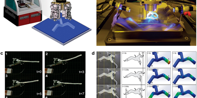 3D Printing Emerges as Key Fabrication Technology for Soft Robotics