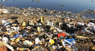 Addressing the Growing E-Waste Crisis: Recycling Technologies and the Move to Biodegradable Electronics