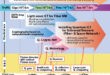 Networking Technologies for Integrating Quantum Cryptography into Commercial Optical Networks