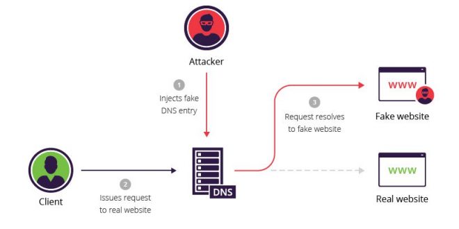 Rising DNS attacks require DNS security measures and Protective DNS ...