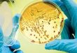 Beyond Fossil Fuels: How Synthetic Biology is Engineering the Future of Military and Aviation Fuels