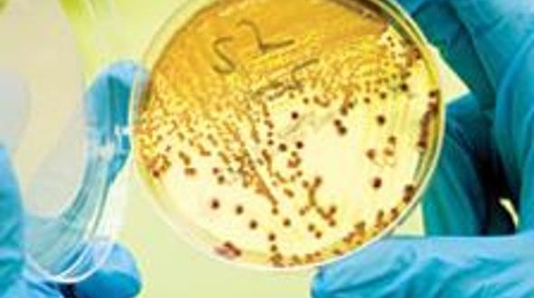 Beyond Fossil Fuels: How Synthetic Biology is Engineering the Future of Military and Aviation Fuels