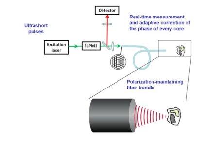 Biophotonics: A Glimpse into the Future of Medical Diagnosis and Treatment