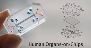 Organ-On-Chip technology and Market